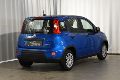 Fiat Panda Gebrauchtwagen