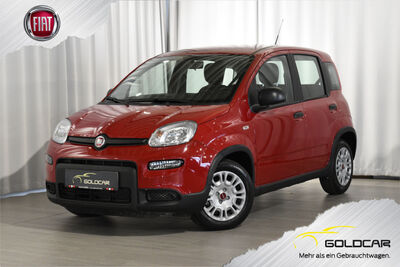 Fiat Panda Gebrauchtwagen