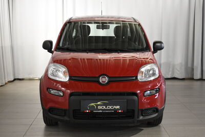 Fiat Panda Gebrauchtwagen