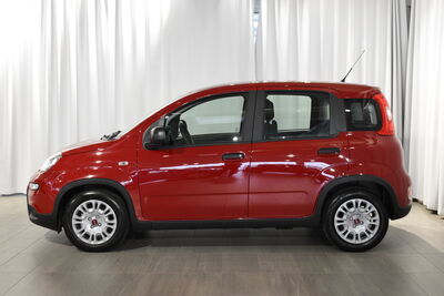 Fiat Panda Gebrauchtwagen