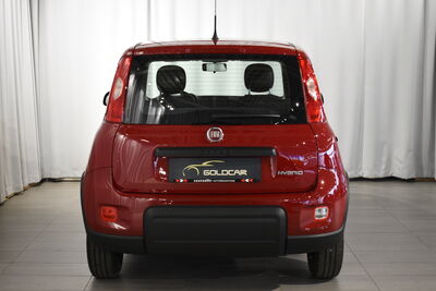 Fiat Panda Gebrauchtwagen