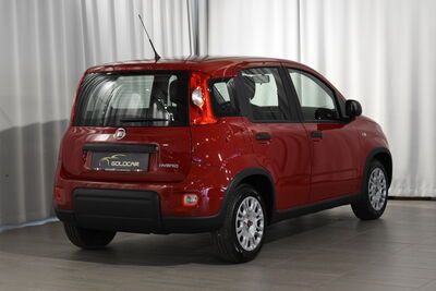 Fiat Panda Gebrauchtwagen