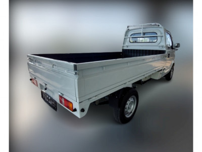 DFSK/DFM/FORTHING EC 35 Vorführwagen DFSK/DFM/FORTHING EC 35 Vorführwagen