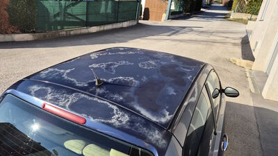 Lancia Ypsilon Gebrauchtwagen