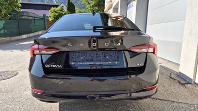 Skoda Octavia Gebrauchtwagen Skoda Octavia Gebrauchtwagen