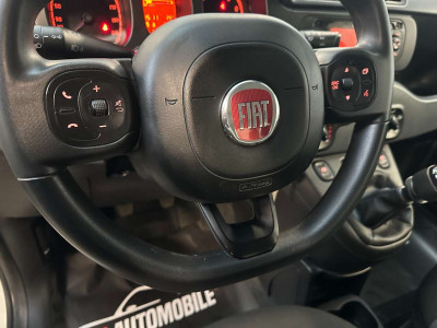 Fiat Panda Gebrauchtwagen