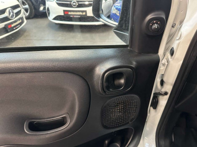 Fiat Panda Gebrauchtwagen