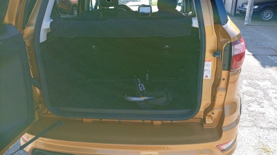 Ford EcoSport Gebrauchtwagen