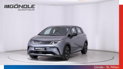 BYD Dolphin Gebrauchtwagen BYD Dolphin Gebrauchtwagen