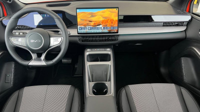BYD Dolphin G Gebrauchtwagen