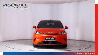 BYD Dolphin G Gebrauchtwagen