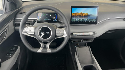 BYD Dolphin Surf Gebrauchtwagen BYD Dolphin Surf Gebrauchtwagen