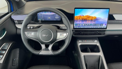 BYD Dolphin G Gebrauchtwagen