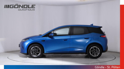 BYD Dolphin G Gebrauchtwagen
