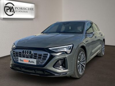 Audi Q8 e-tron Gebrauchtwagen