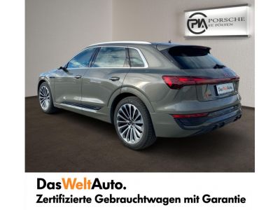 Audi Q8 e-tron Gebrauchtwagen