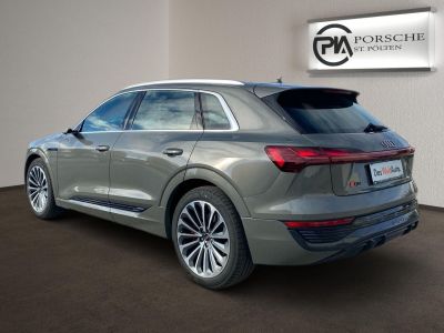 Audi Q8 e-tron Gebrauchtwagen