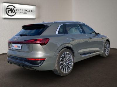 Audi Q8 e-tron Gebrauchtwagen