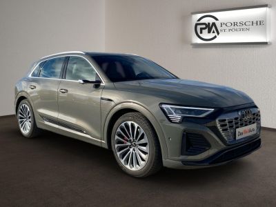 Audi Q8 e-tron Gebrauchtwagen