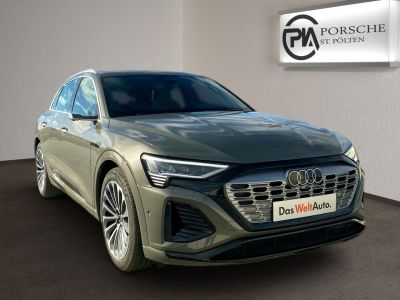 Audi Q8 e-tron Gebrauchtwagen