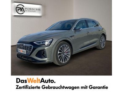 Audi Q8 e-tron Gebrauchtwagen