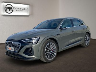 Audi Q8 e-tron Gebrauchtwagen