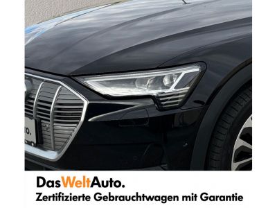 Audi Q8 e-tron Gebrauchtwagen