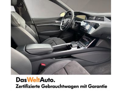 Audi Q8 e-tron Gebrauchtwagen