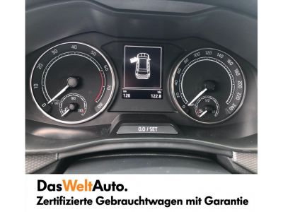 Skoda Kamiq Gebrauchtwagen