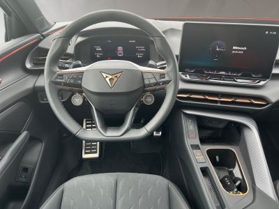 Cupra Terramar Gebrauchtwagen