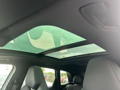 Cupra Terramar Gebrauchtwagen