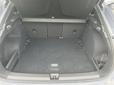 Cupra Terramar Gebrauchtwagen