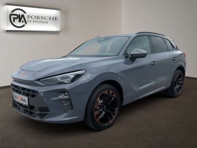 Cupra Terramar Gebrauchtwagen