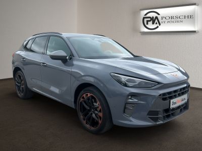 Cupra Terramar Gebrauchtwagen