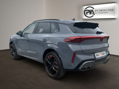 Cupra Terramar Gebrauchtwagen