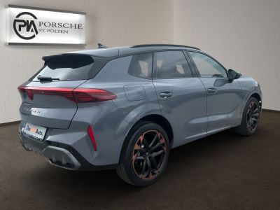 Cupra Terramar Gebrauchtwagen