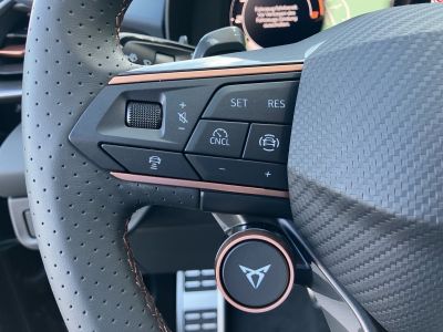 Cupra Terramar Gebrauchtwagen