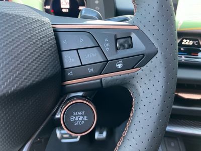 Cupra Terramar Gebrauchtwagen