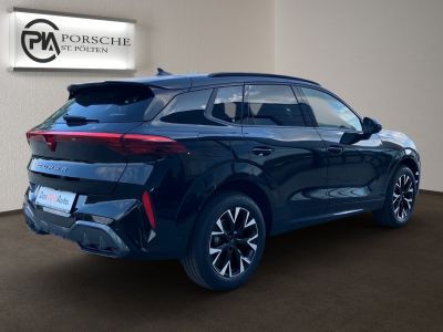 Cupra Terramar Gebrauchtwagen