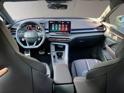 Cupra Terramar Gebrauchtwagen