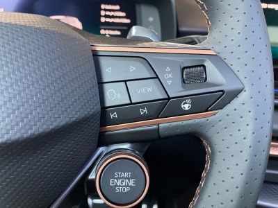 Cupra Terramar Gebrauchtwagen