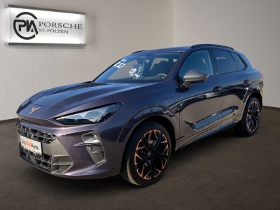 Cupra Terramar Gebrauchtwagen