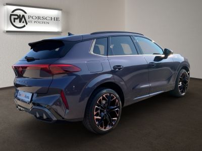 Cupra Terramar Gebrauchtwagen