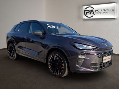 Cupra Terramar Gebrauchtwagen