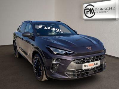 Cupra Terramar Gebrauchtwagen