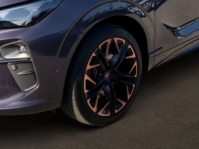 Cupra Terramar Gebrauchtwagen