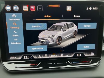 Cupra Terramar Gebrauchtwagen