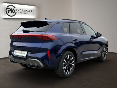 Cupra Terramar Gebrauchtwagen