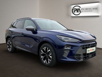 Cupra Terramar Gebrauchtwagen