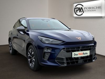 Cupra Terramar Gebrauchtwagen